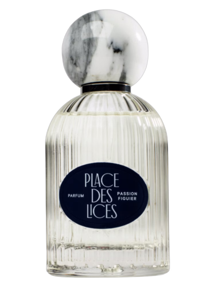 Place des Lices Passion Figuier