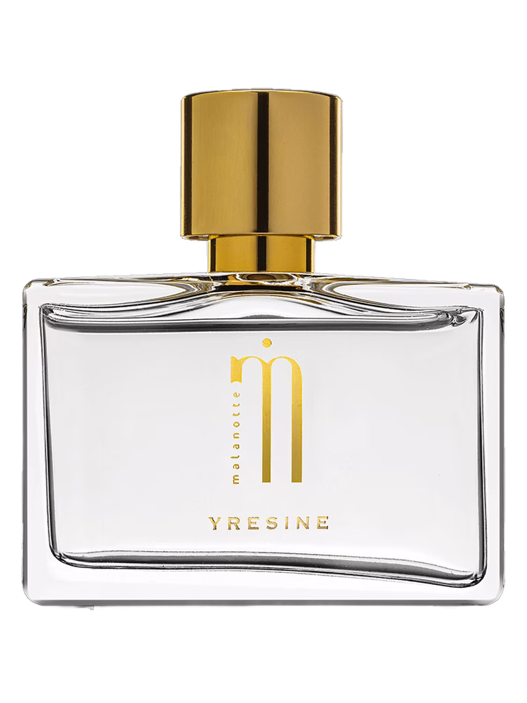 Malanotte Yresine