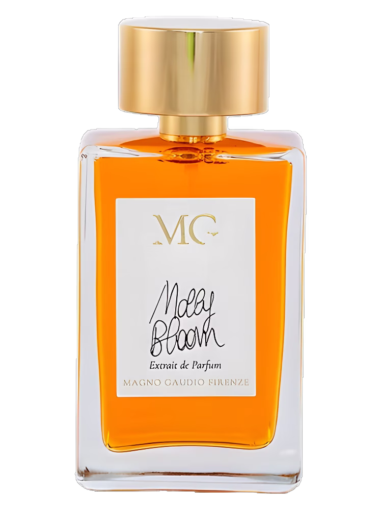 Magno Gaudio Firenze Molly Bloom