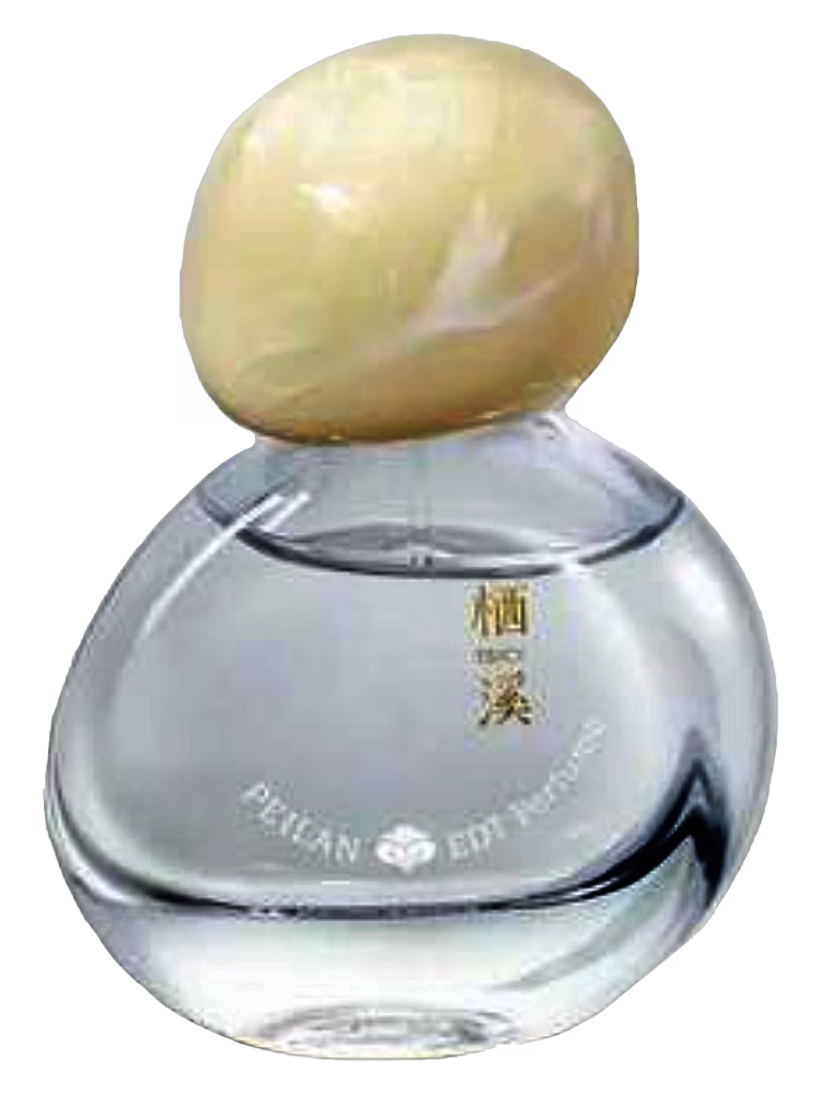 Qixi Tsicy Peilan Angelica