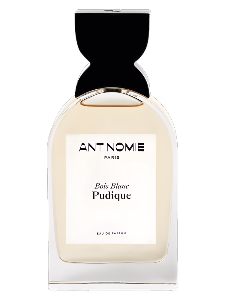 Antinomie Bois Blanc Pudique