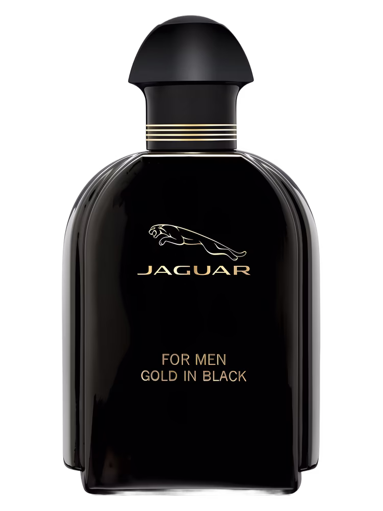 Jaguar Jaguar For Men Gold in Black