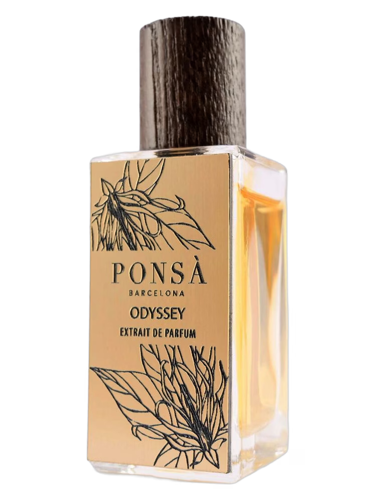 Ponsa Odyssey