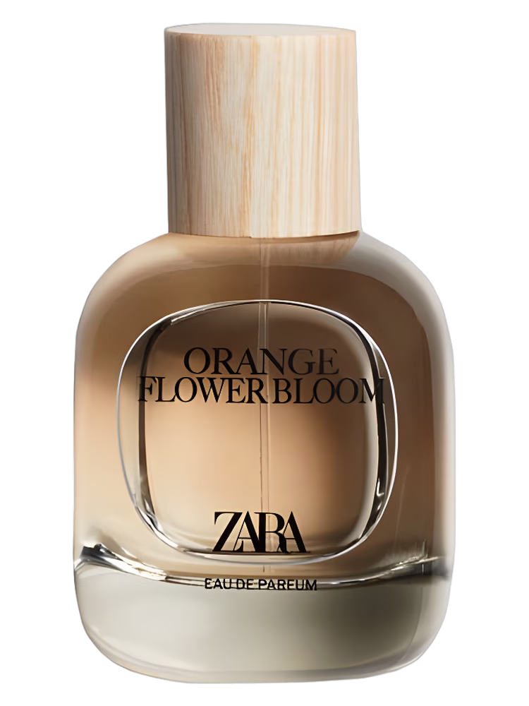 Zara Orange Flower Bloom