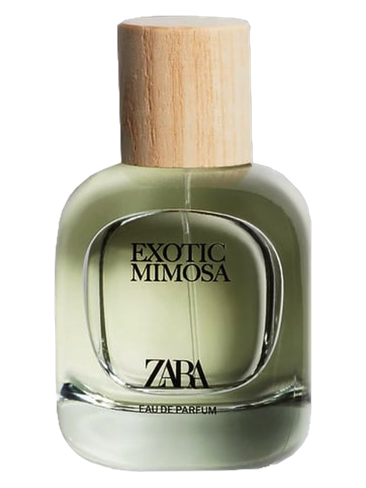 Zara Exotic Mimosa