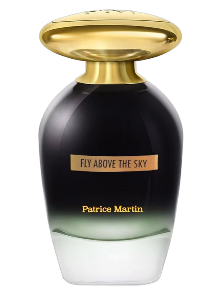 Patrice Martin Fly Above The Sky