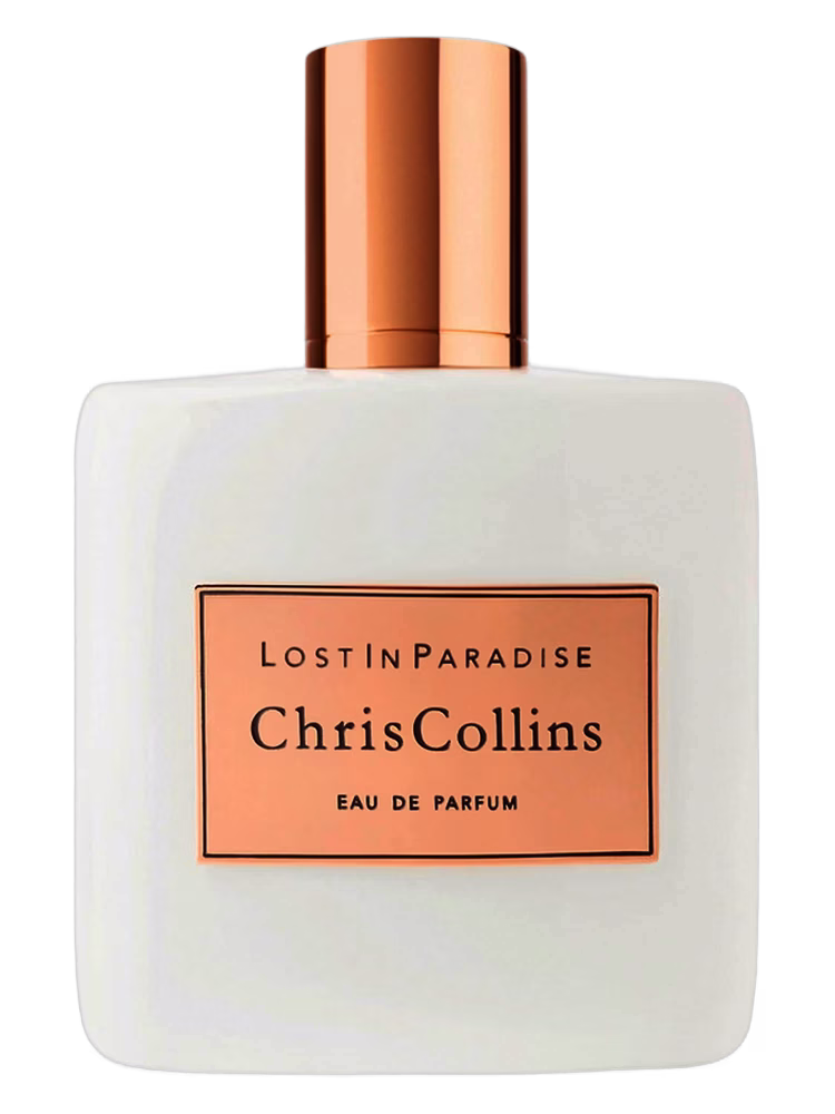 Chris Collins Lost in Paradise