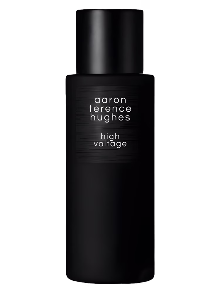 Aaron Terence Hughes High Voltage