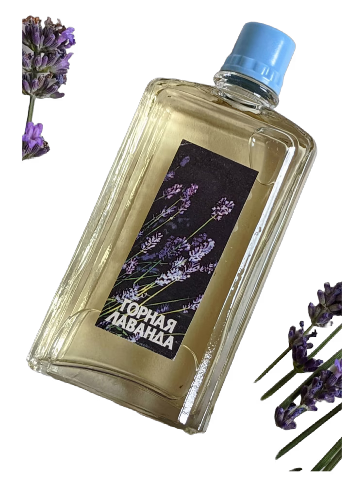 Новая Заря (The New Dawn) Горная лаванда (Mountain Lavender)