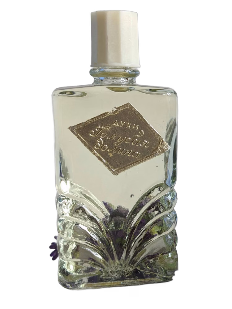 Crimean rose – Крымская роза Голубая долина (Blue valley)