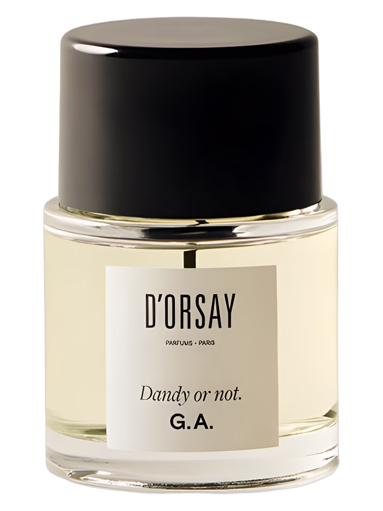D’ORSAY Dandy or not. G.A.