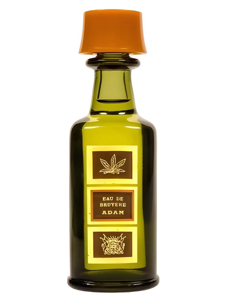 Adam Eau de Bruyère