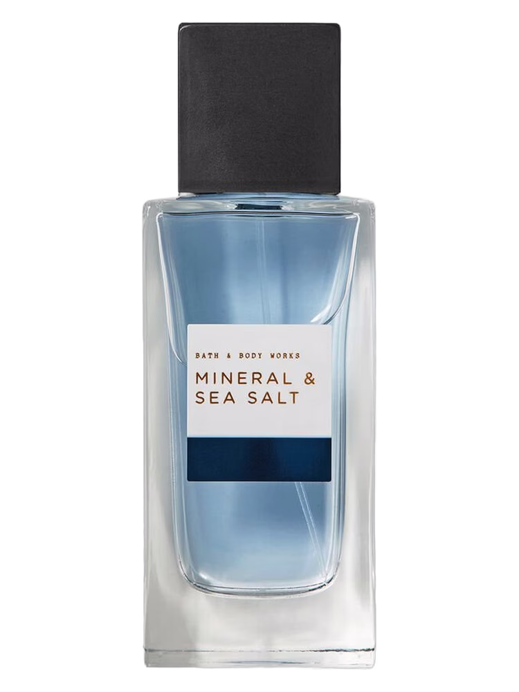 Bath & Body Works Mineral & Sea Salt