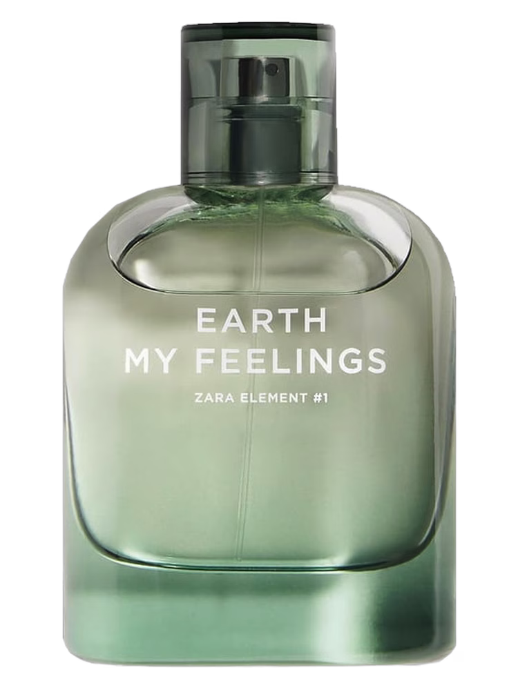 Zara Earth My Feelings