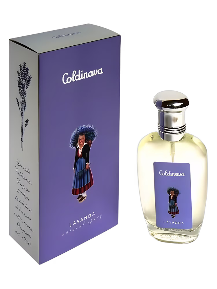 Nicky Chini Lavanda Coldinava