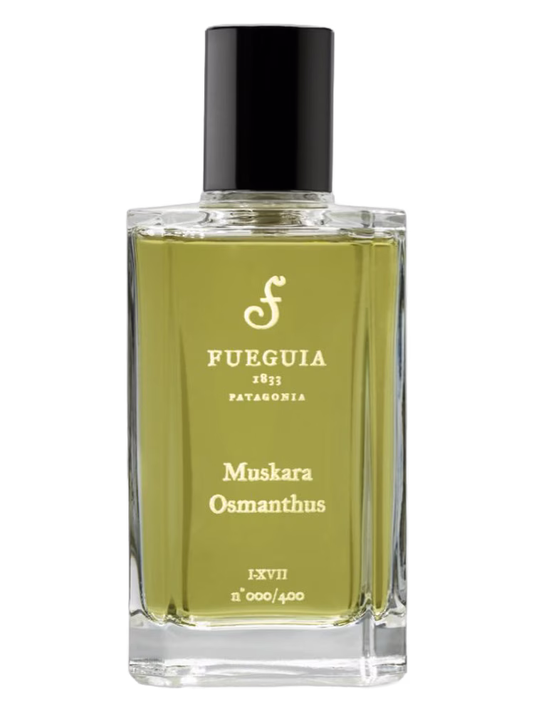 Fueguia 1833 Muskara Osmanthis