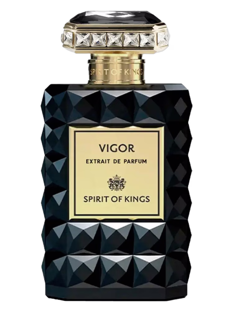 Spirit Of Kings Vigor