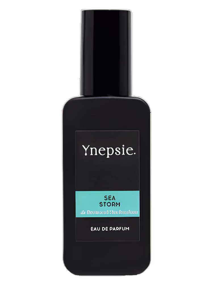 Ynepsie Sea Storm