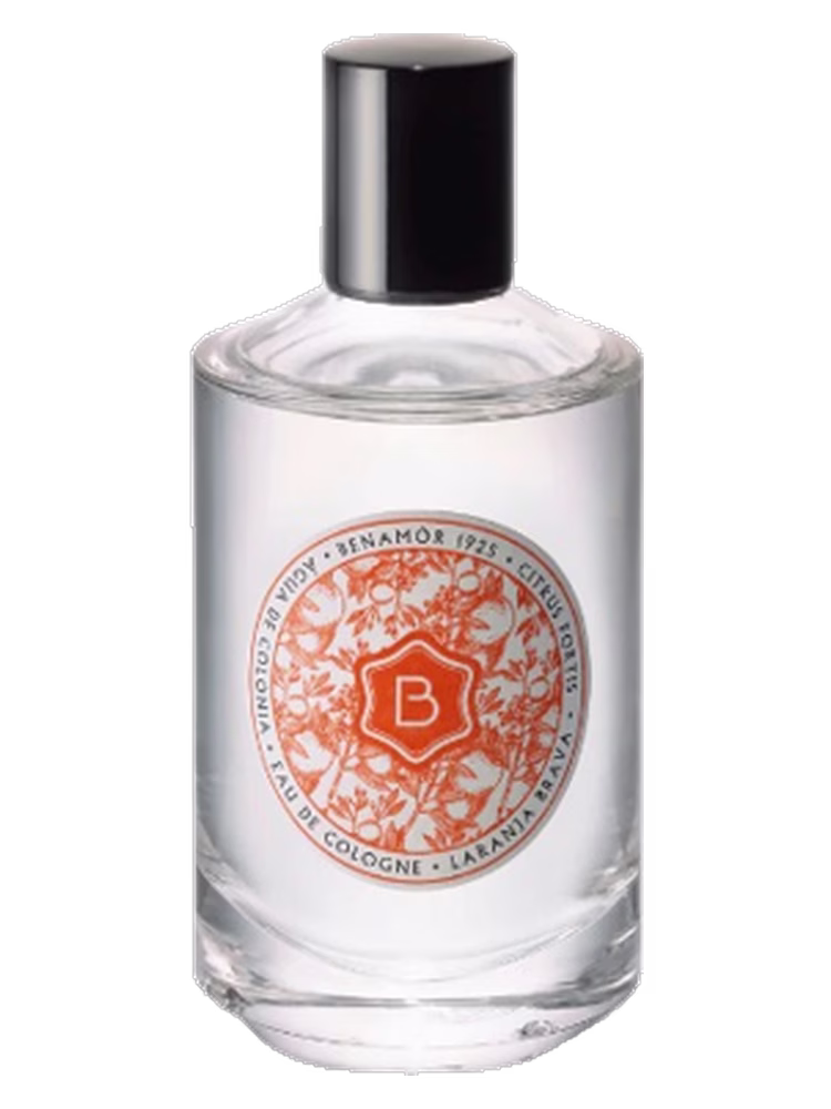 Benamôr Laranja Brava