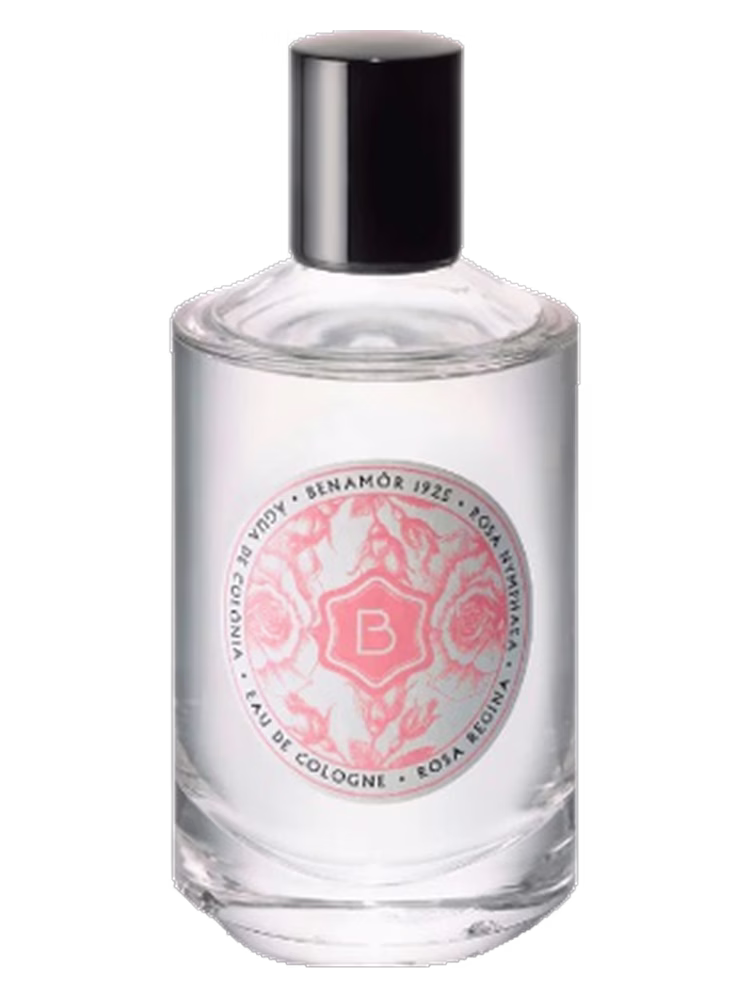Benamôr Rosa Regina