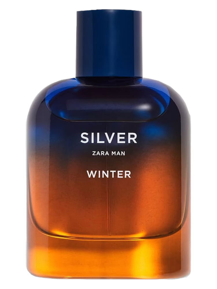 Zara Silver Winter Zara Man