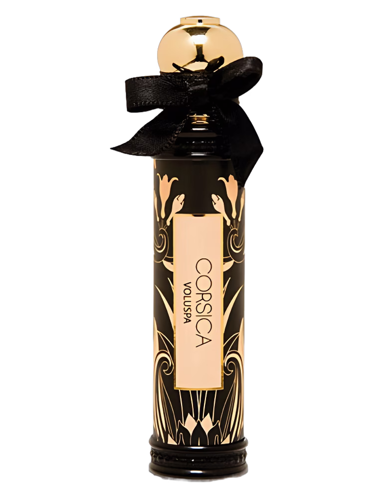 Voluspa Corsica