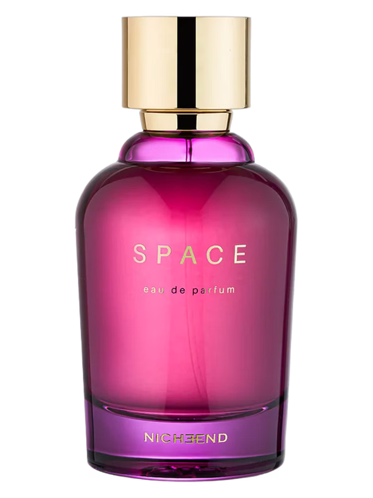 Nicheend Space