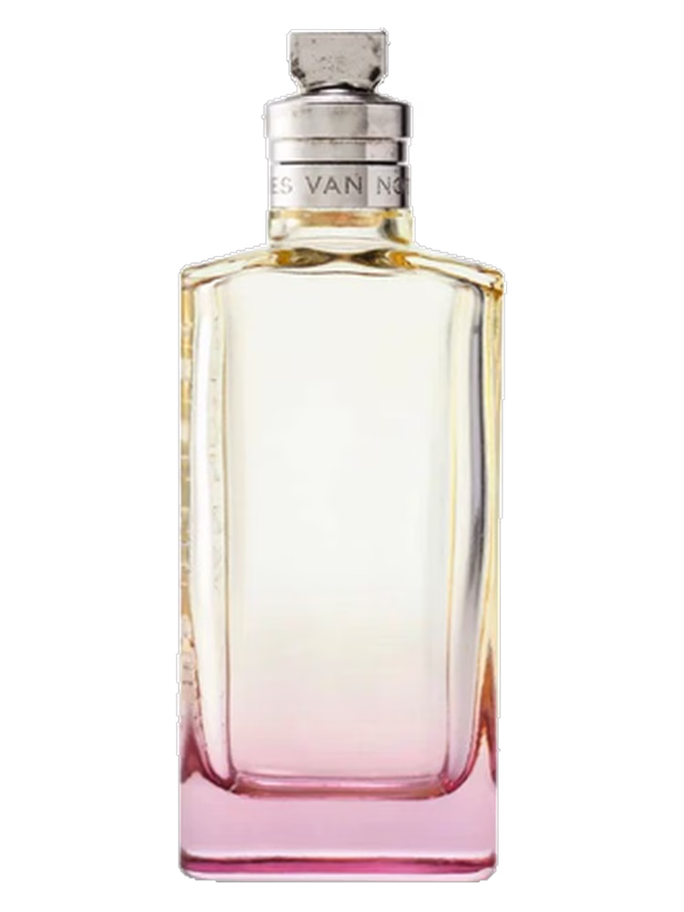 Dries Van Noten Orange Smoke