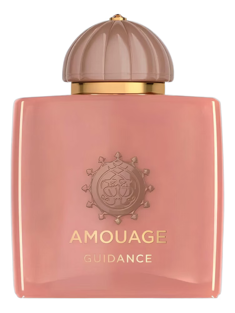 Amouage Guidance