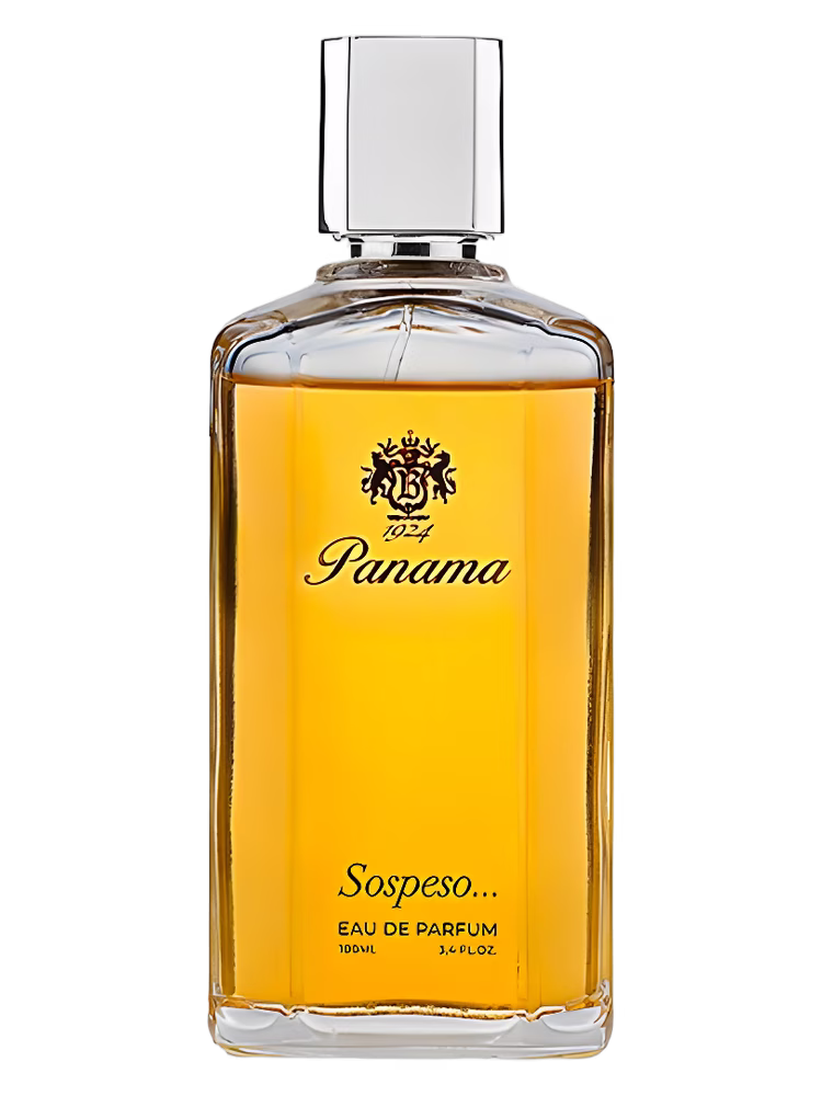 Panama 1924 Sospeso