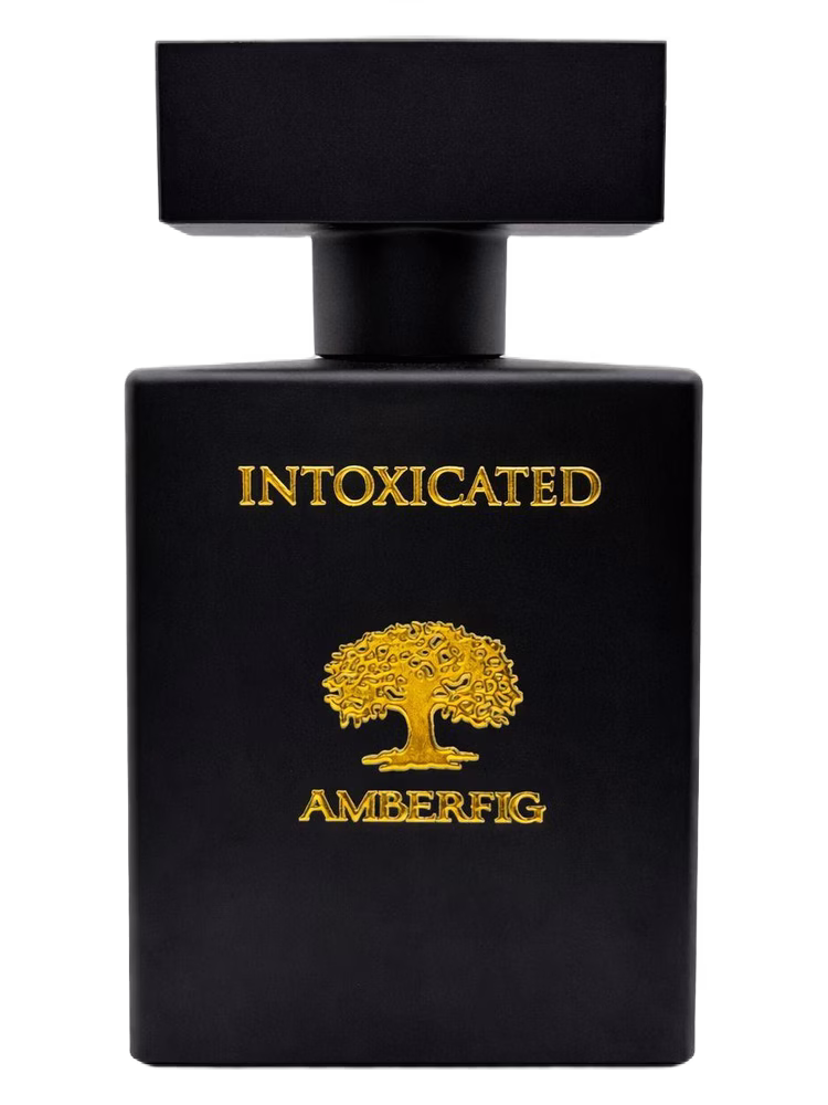 Amberfig Intoxicated