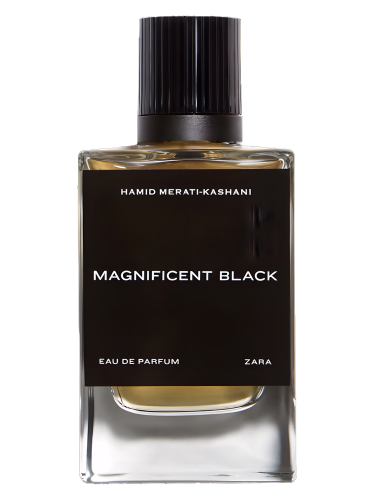 Zara Magnificent Black