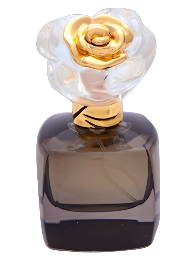 Rose Rossa Talented Elegance