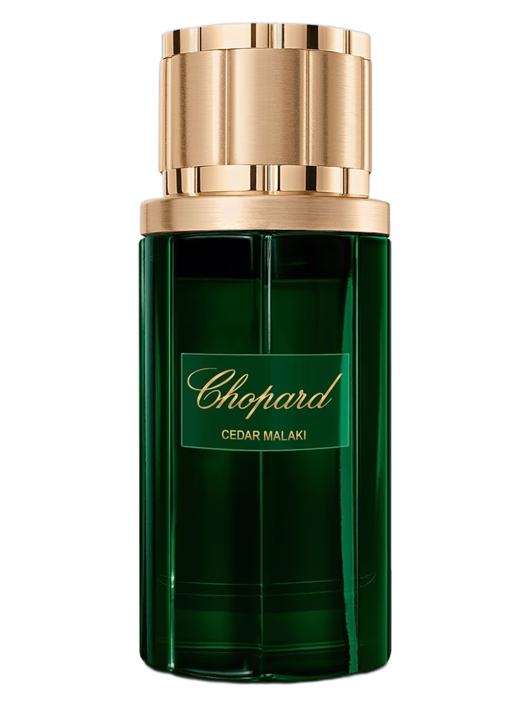 Chopard Cedar Malaki