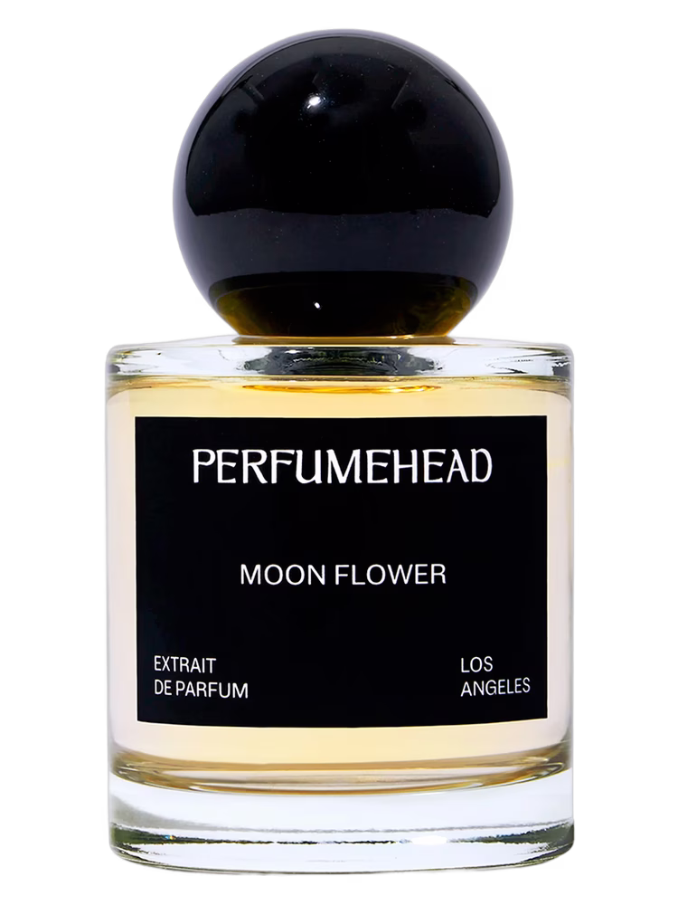 Perfumehead Moon Flower
