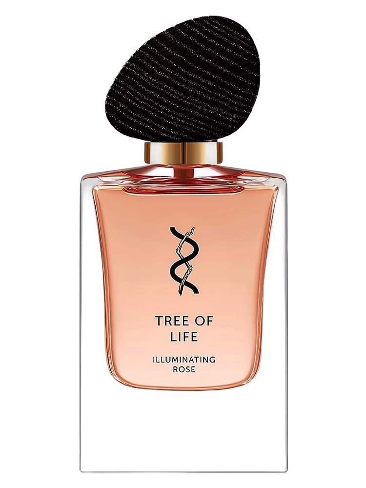 Tree Of Life Illuminating Rose