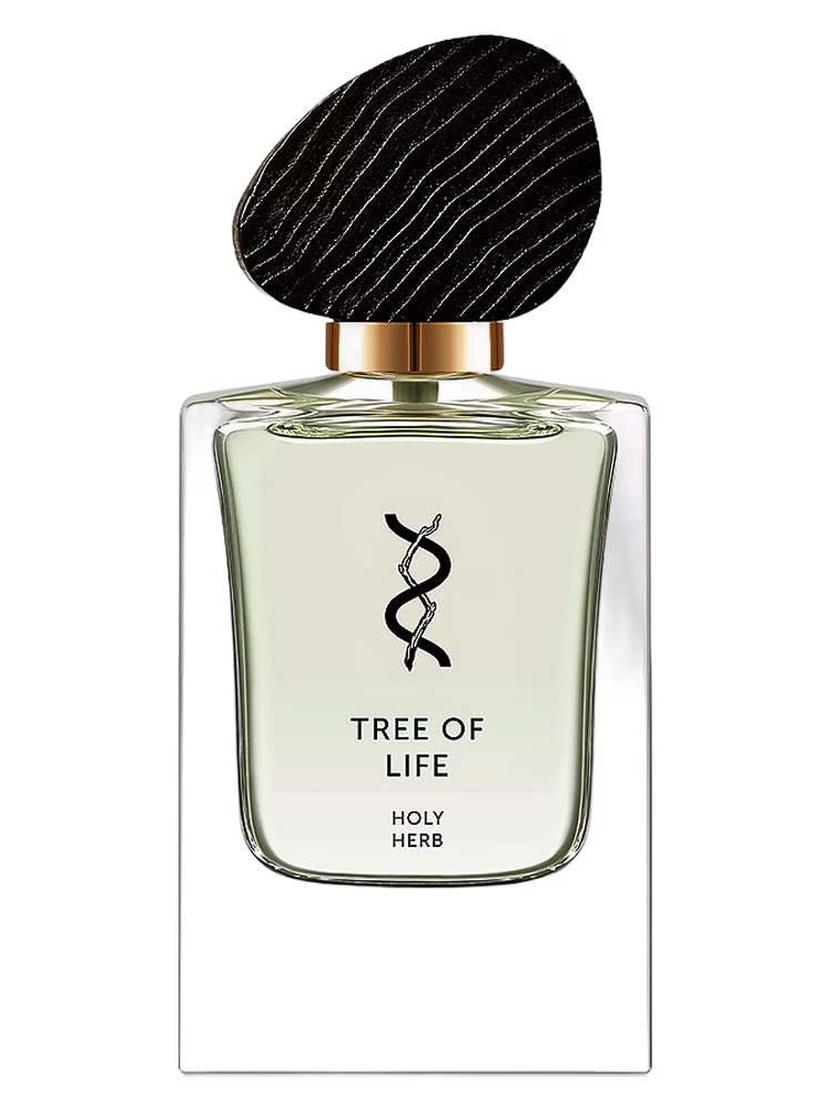 Tree Of Life Holy Herb