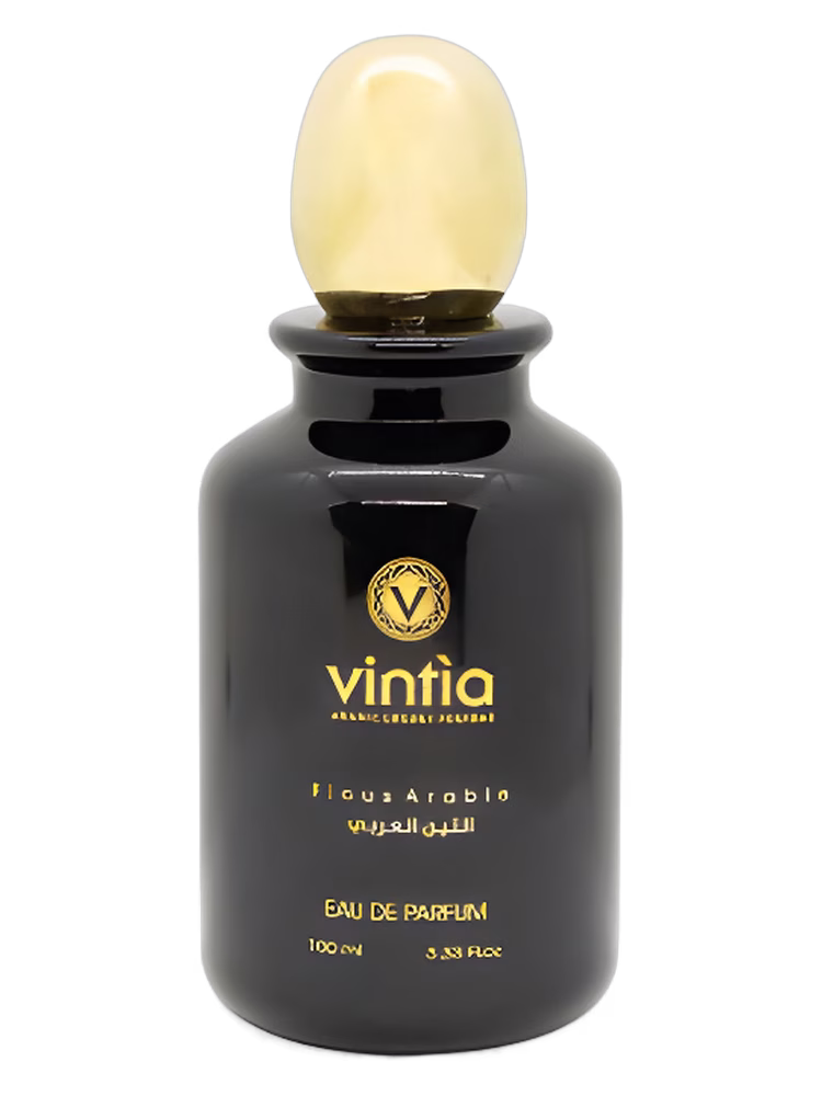 Vintìa Ficus Arabie