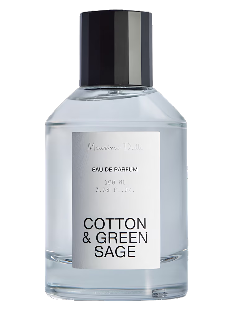 Massimo Dutti Cotton & Green Sage