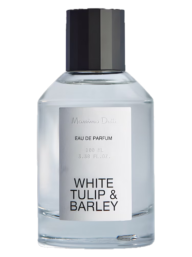 Massimo Dutti White Tulip & Barley