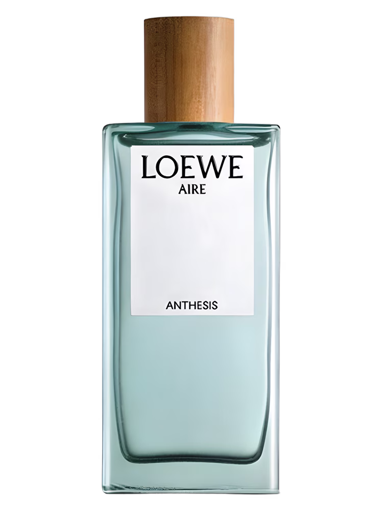 Loewe Aire Anthesis