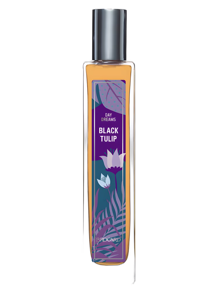 Brocard Black Tulip