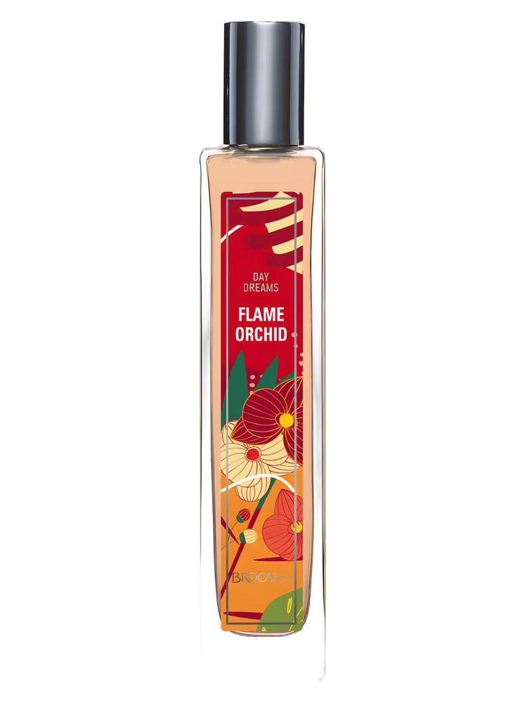 Brocard Flame Orchid
