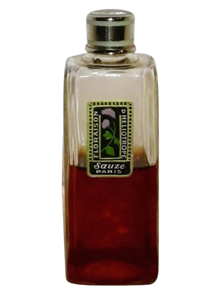 Sauzé Floraison d'Heliotrope