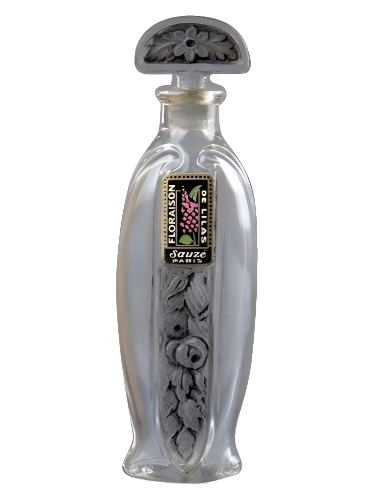 Sauzé Floraison de Lilas