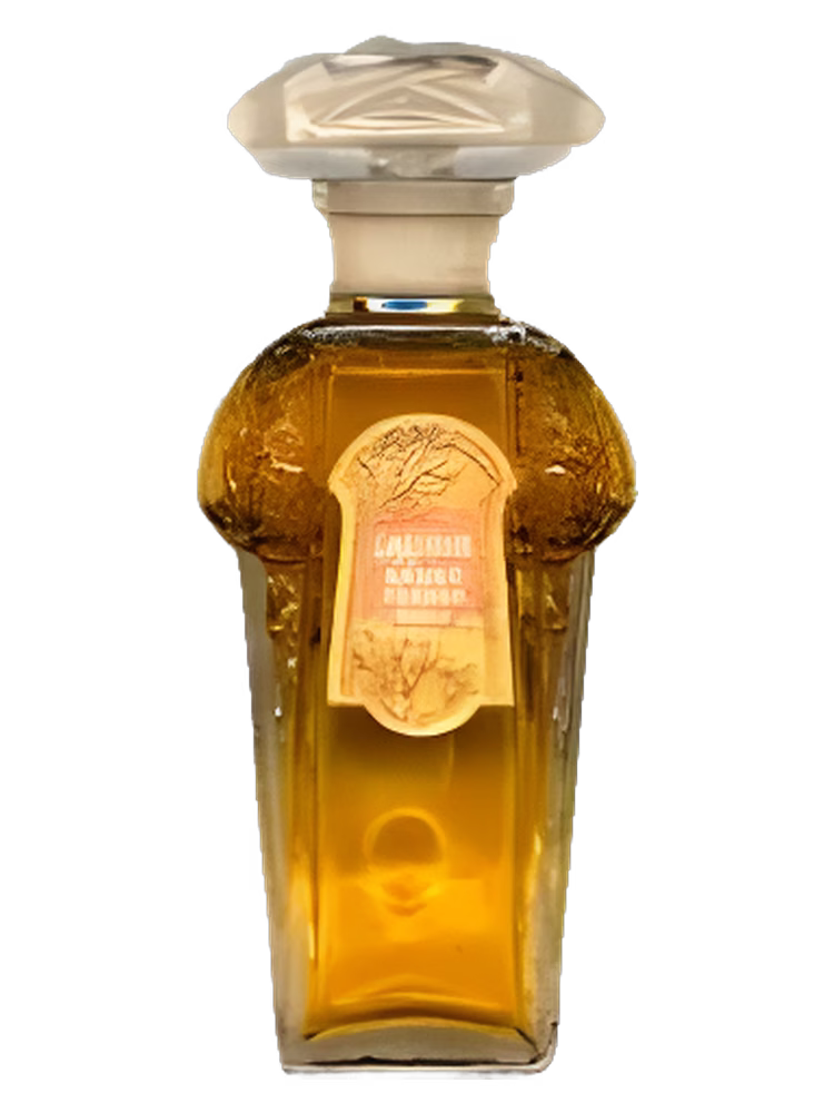 Sauzé Lauris