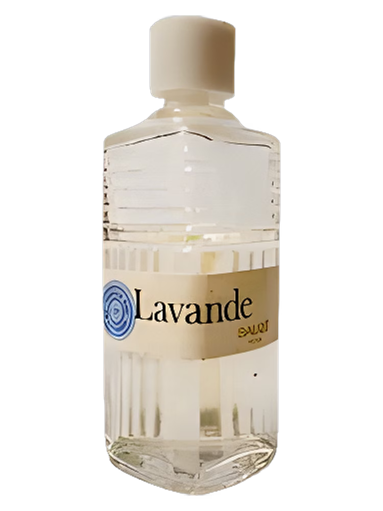Sauzé Lavande