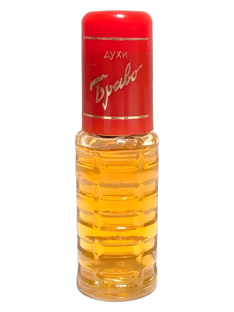 Dzintars Браво (Bravo)