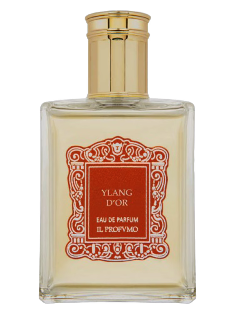 Il Profvmo Ylang D'Or