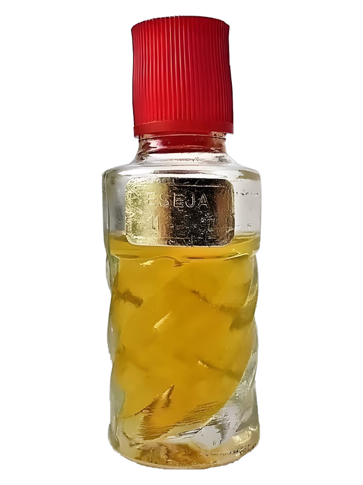Dzintars Eseja (Эссе)